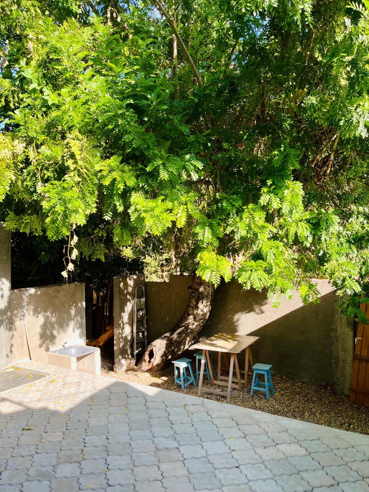 Casinha Flor, Vila Florescer, Centro Historico! Piranhas  Εξωτερικό φωτογραφία